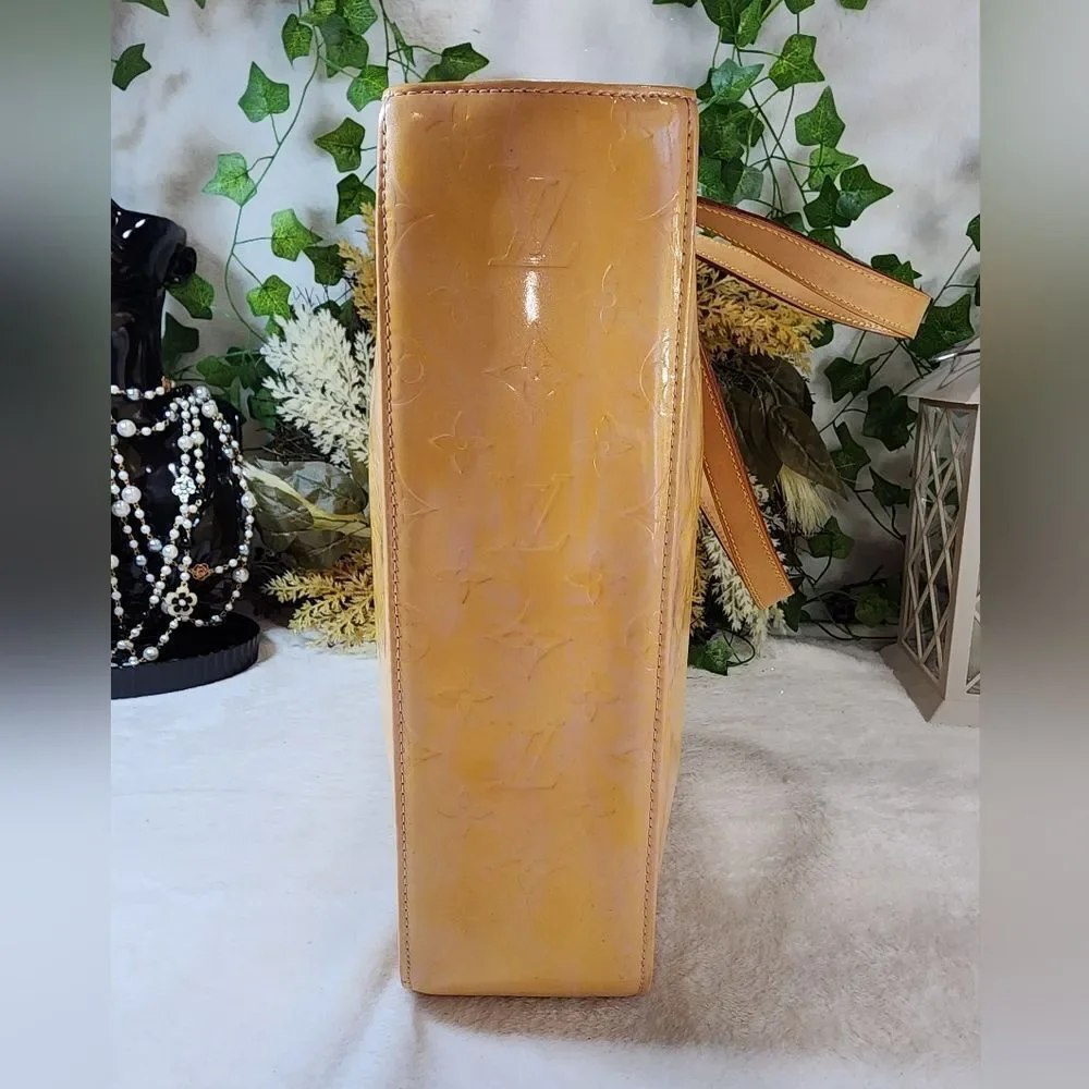 Louis Vuitton authentic louis